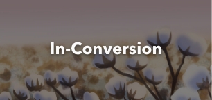 in-conversion