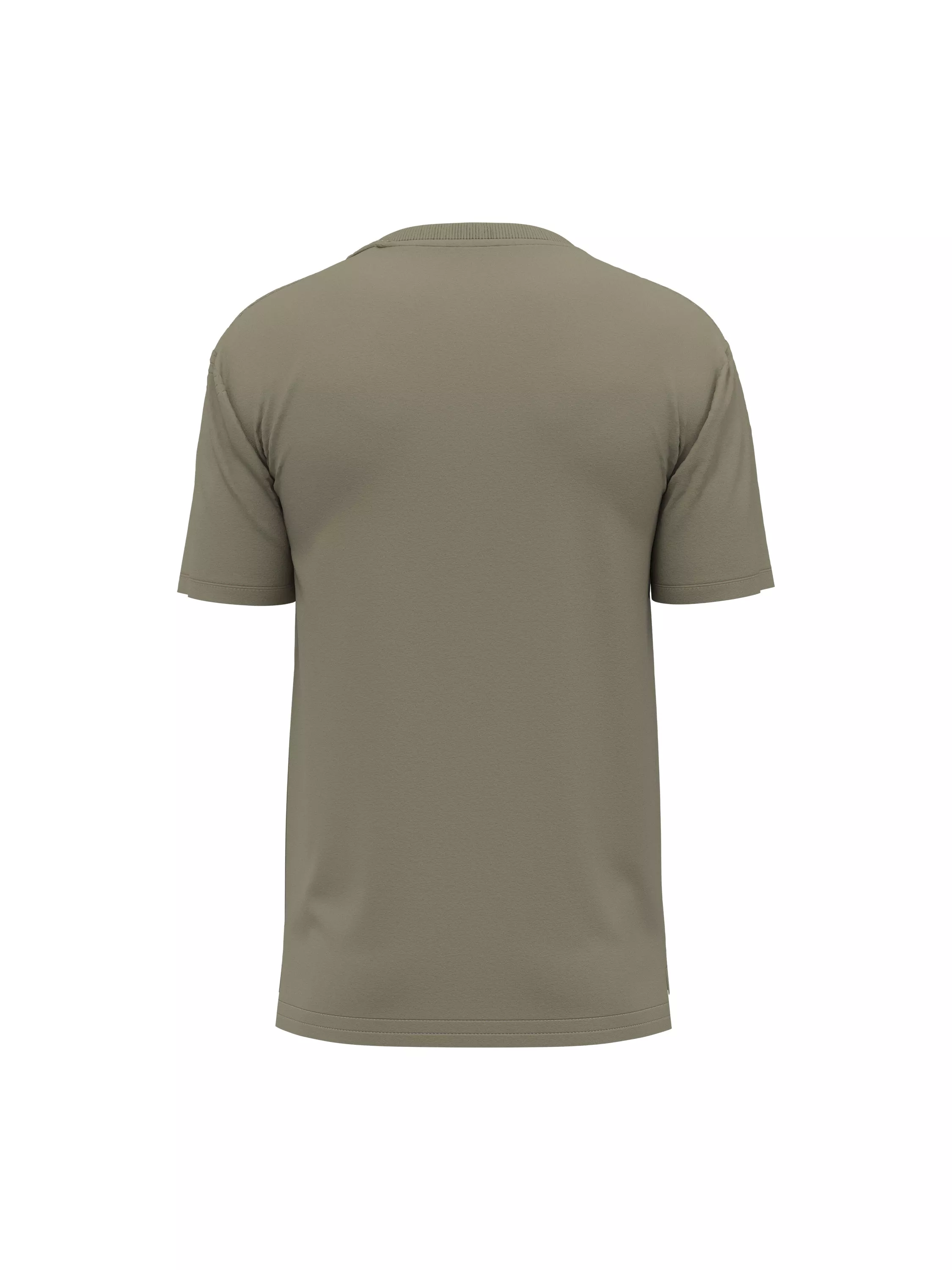 Basic Washed T-Shirt (back)
