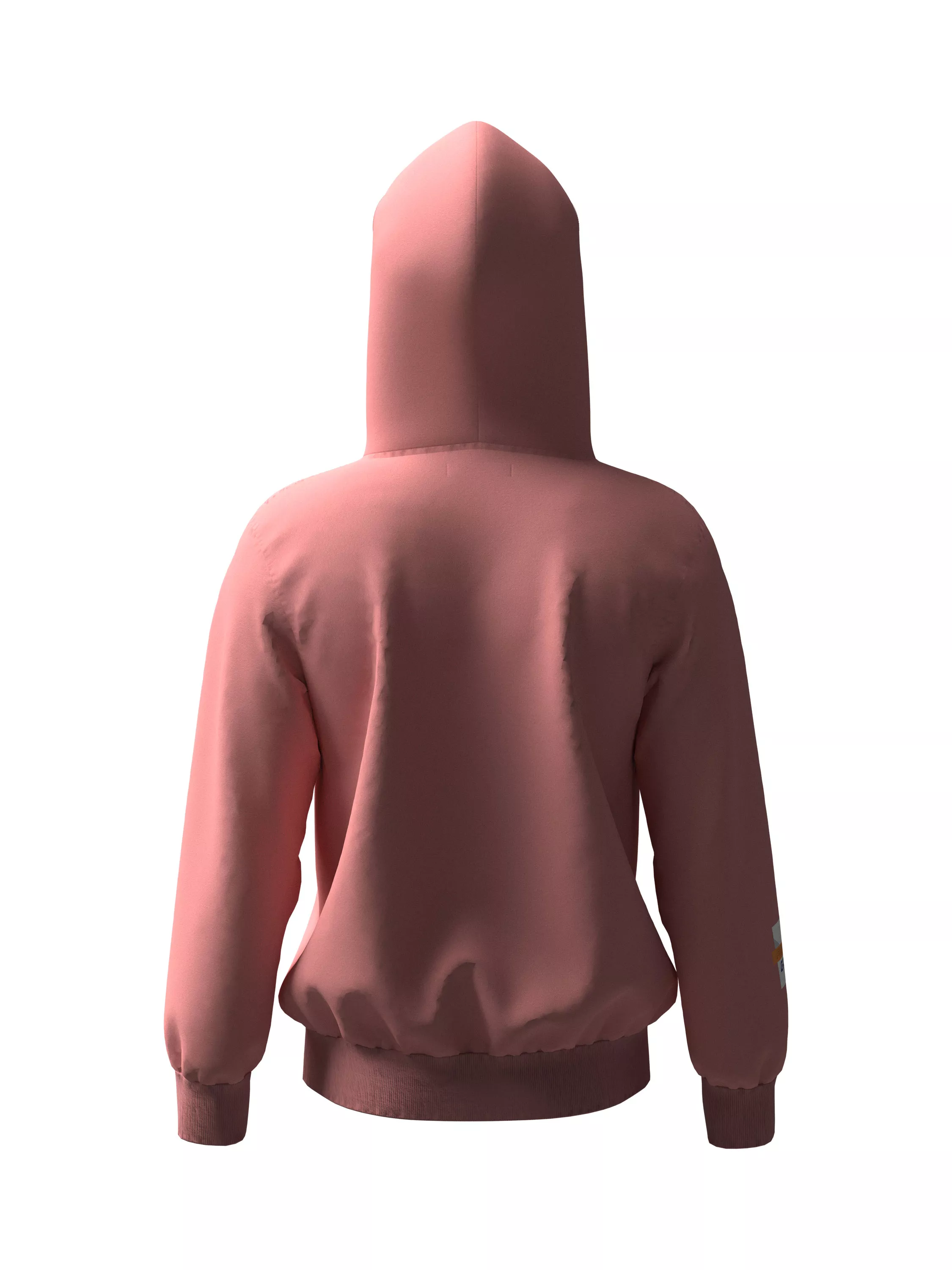Basic full sleeve Hoodie with chest print (back)
