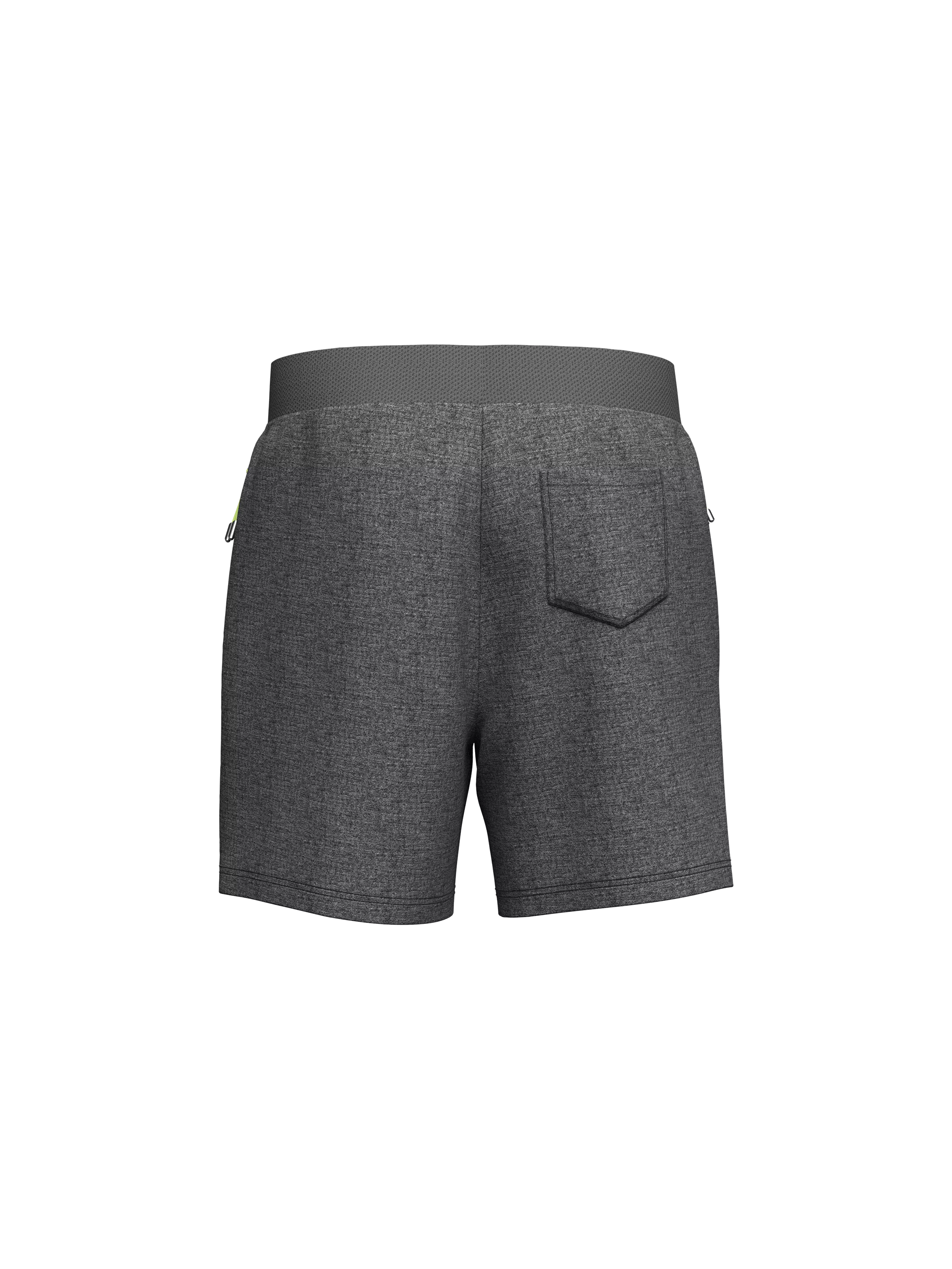 Panelled Shorts (back)